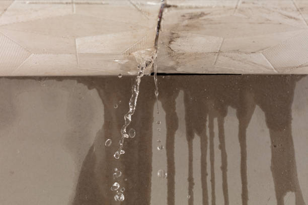 Professional Water Extraction technician working in Purcellville, VA